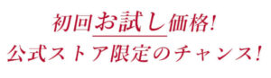 公式ストア限定価格